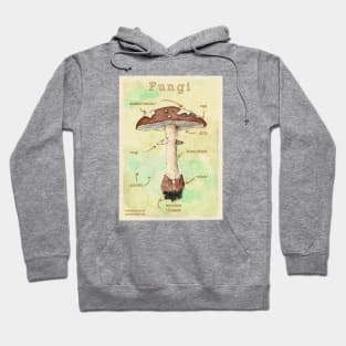 vintage fungi poster Hoodie